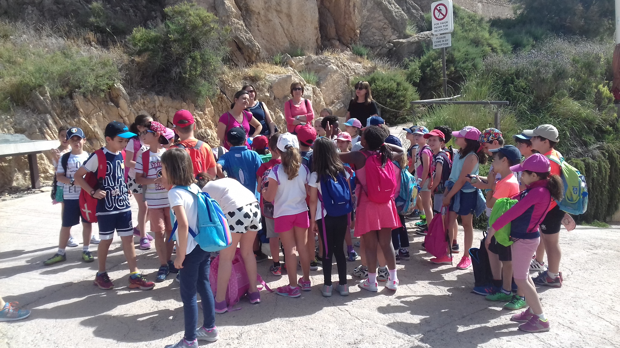 Colegio Nuestra Seora de Fatima_Molina de Segura_25_05_2017